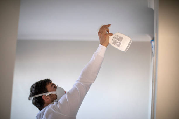 Best Bathroom Mold Remediation in , LA