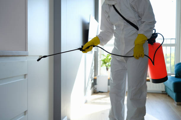 Best Commercial Mold Remediation in , LA